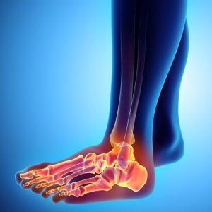 41628_c6fb617c2e94402f92d7fea32c3d29ed_1505352885