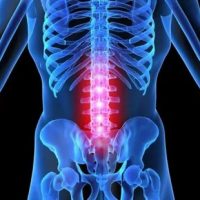 yak-lyachyc-asteahandroz-payasnichnaga-addzela-pazvanochnika