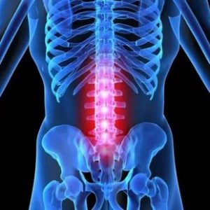 yak-lyachyc-asteahandroz-payasnichnaga-addzela-pazvanochnika